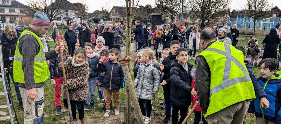 Projets - Mairie Oberhausbergen